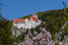 Burg Prunn in Spring