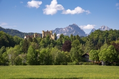 Hohenschwangau Castle from the fields below