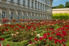Rose Garden at the Mirabell Palace in Salzburg